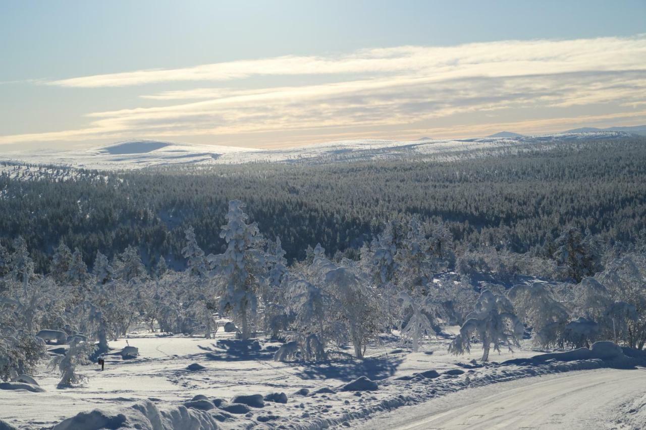 Polaris Homes For You Rovaniemi Exteriör bild
